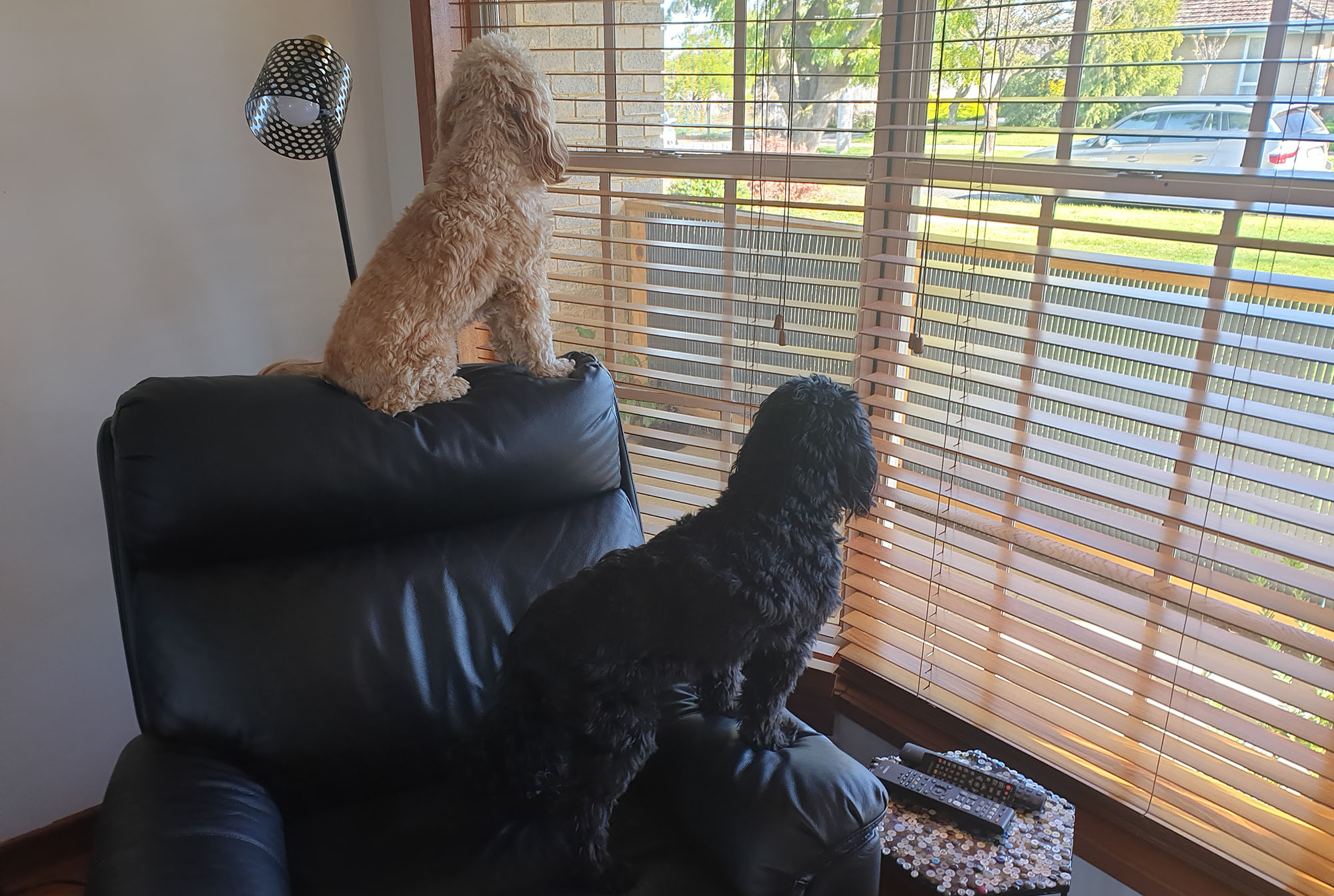 Now the neighbourhood is safe again